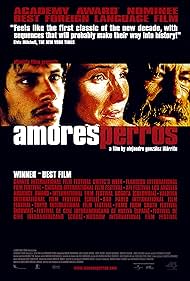 Amores perros (2000) carátula