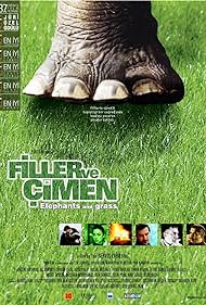 Filler ve Çimen Bande sonore (2000) couverture
