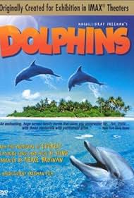 Dolphins (2000) cover
