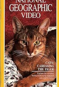 Cats: Caressing the Tiger Colonna sonora (1991) copertina