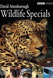 David Attenborough Wildlife Specials (1995) cover