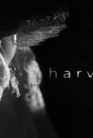 Harvey (2002) cover