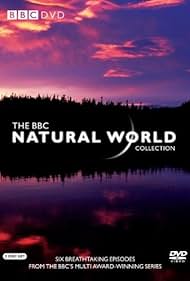 Natural World (1983) copertina