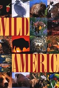 Wild America Banda sonora (1982) carátula