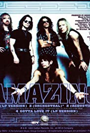 Aerosmith: Amazing Colonna sonora (1993) copertina