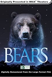 Bears Colonna sonora (2004) copertina