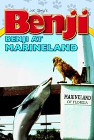 Benji Takes a Dive at Marineland Colonna sonora (1981) copertina