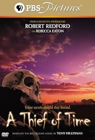 A Thief of Time (2004) cover