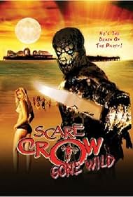 Il ritorno di Scarecrow (2004) copertina