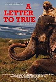A Letter to True (2004) cover