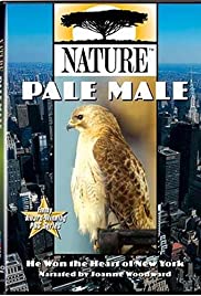 Pale Male (2002) cover