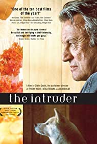The Intruder (2004) copertina