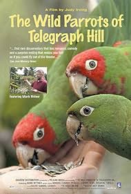 The Wild Parrots of Telegraph Hill Colonna sonora (2003) copertina