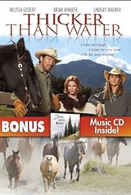 Das Cowgirl und die Wildpferde (2005) cover