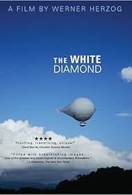 The White Diamond (2004) cover