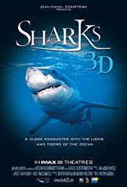Sharks 3D (2004) copertina