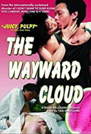 The Wayward Cloud (2005) cover
