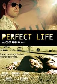 Perfect Life Bande sonore (2010) couverture