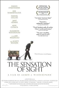 The Sensation of Sight (2006) cover