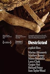 Destricted (2006) cover