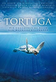 Tortuga (1999) cover