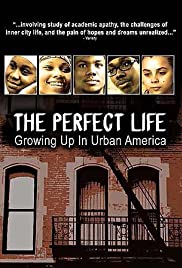 The Perfect Life (2006) carátula