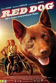 Red Dog (2011) couverture