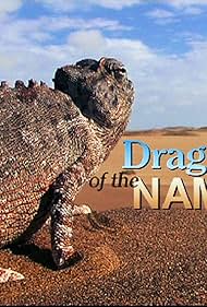 Dragons of the Namib Soundtrack (2002) cover