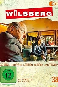 Wilsberg (1995) cover