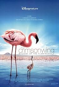 Crimson Wing: O Mistério dos Flamingos (2008) cover