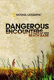 Dangerous Encounters Colonna sonora (2005) copertina