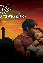The Promise (2007) cover