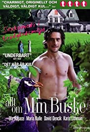 All About My Bush (2007) copertina