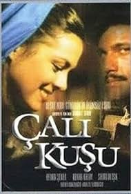 Çalikusu Colonna sonora (1986) copertina