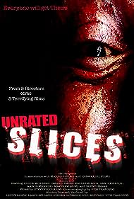 Slices (2008) copertina