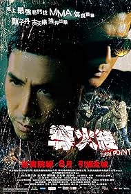 Flash Point (2007) copertina