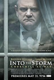 Into the Storm (2009) cover