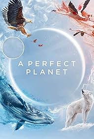 A Perfect Planet Bande sonore (2021) couverture