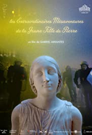 Les Extraordinaires mésaventures de la jeune fille de pierre (2019) cover