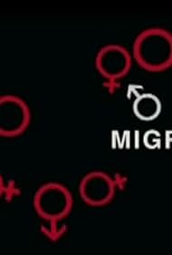 Migration Soundtrack (2008) cover