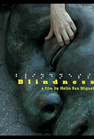 Blindness Colonna sonora (2007) copertina
