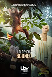 Judi Dench's Wild Borneo Adventure Colonna sonora (2019) copertina