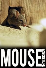 Mouse: A Secret Life (2007) cover