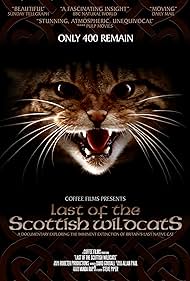 Last of the Scottish Wildcats (2006) cover