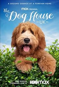 The Dog House (2019) cover