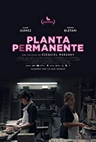Planta permanente (2019) cover