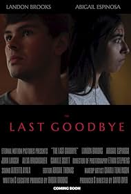 The Last Goodbye Colonna sonora (2019) copertina