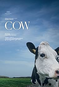 Cow (2021) copertina