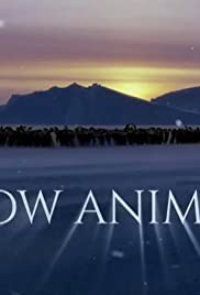 Snow Animals Bande sonore (2019) couverture