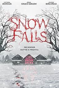 Snow Falls (2020) copertina